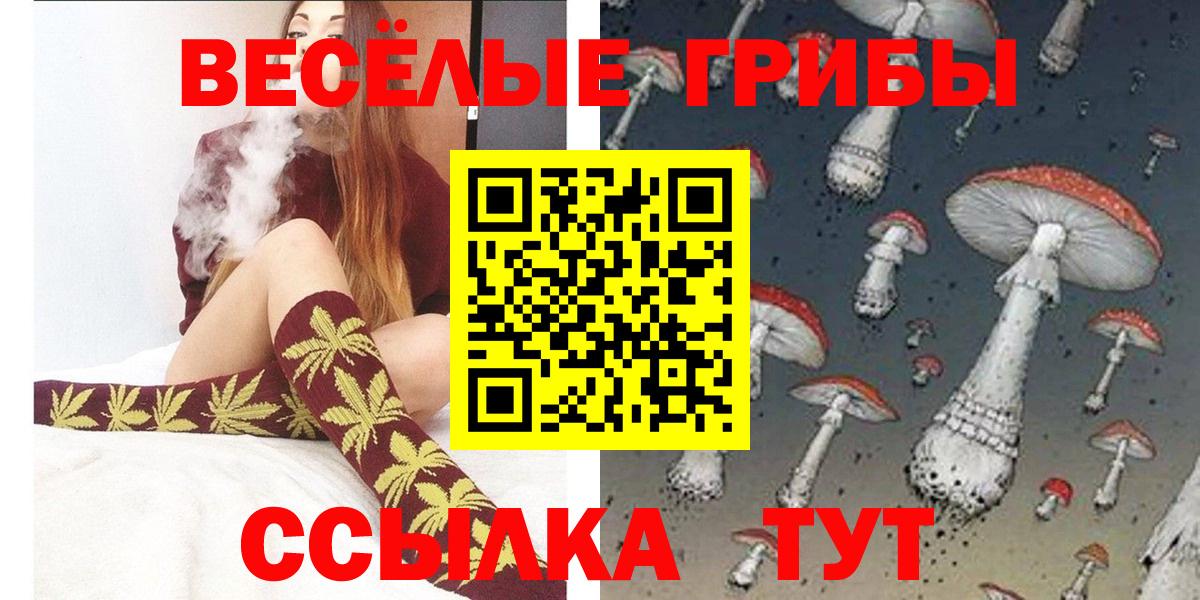 Псилоцибиновые грибы Psilocybine cubensis  Галлюциногенные грибы Psilocybe  Вход с VPN  Лосино-Петровский 