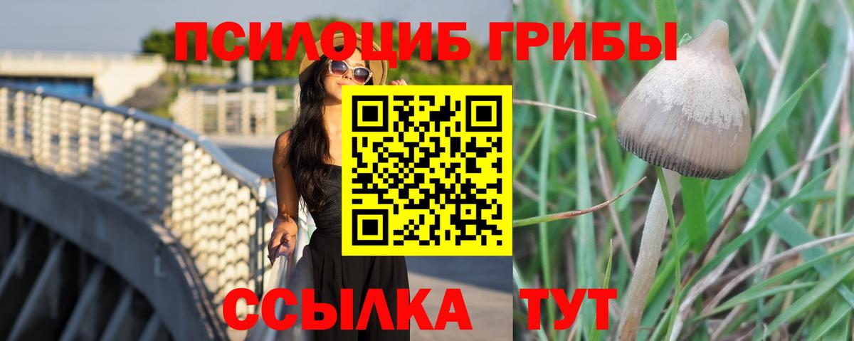 Псилоцибиновые грибы MAGIC MUSHROOMS Лосино-Петровский